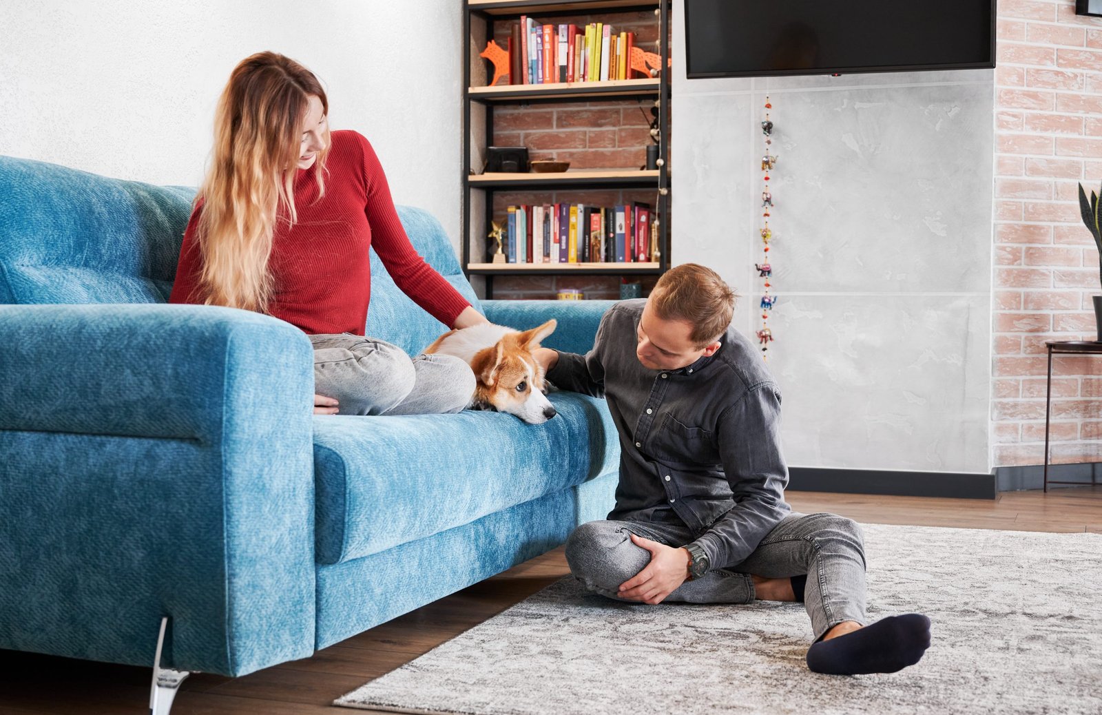 How to Choose Pet Friendly Furniture?